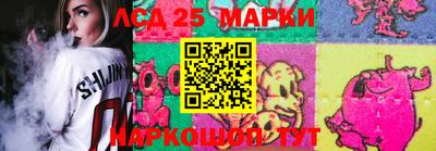 индика Рыбинск