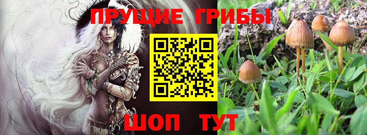 Галлюциногенные грибы ЛСД  Вход с VPN  Рославль 